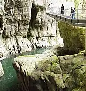 Marinič footbridge, Škocjan Caves Park, Slovenia (2010)