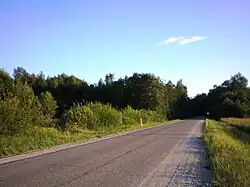 The Green Forest (Žalioji giria)