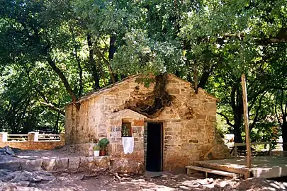 The church of St. Theodora of Vasta, with holly and maple trees growing on its roof.