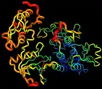 Figure 7. The β-factor of the PLC-FGFR1 kinase complex