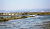 Evros Delta