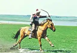 Bashkir horseman