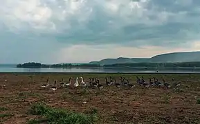 Bashkiriya National Park, southern end of the Ural Mountains, Russia