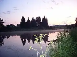 A pond in the village of Kolyushevo in Zavyalovsky District