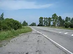 Road in Mikhaylovsky District