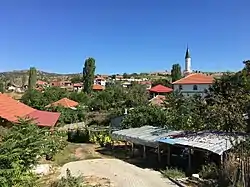 View of the village