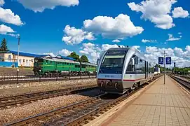 Trains at Smorodine station