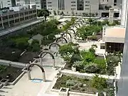 Governmental Campus Garden, Haifa