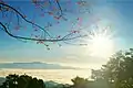 The morning scenery viewed from Doi Kio Lom Viewpoint