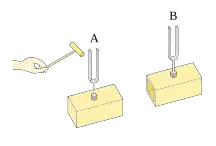 Two tuning forks being sounded by a hand (on the left).