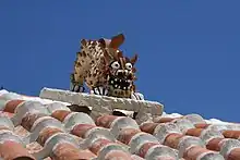 Shisa in Nago, Okinawa Prefecture