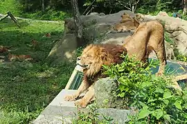 Fuji Safari Park Susono