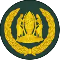 Warrant officer class 2(Swahili: Afisa Mteule Daraja la Pili)(Tanzanian Army)