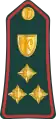 Brigadier general(Gambian National Army)