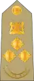 Brigadier(Kenya Army)