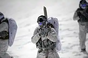 SEALs demonstrate winter warfare capabilities.