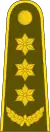 Pulkininkas'(Lithuanian Land Forces)