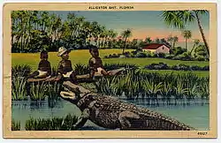 Illustration of a swampy scene in Florida; three young black children are seated on a log across a small pool of water from an alligator displaying its open mouth. The middle child wears a broad-brimmed hat. In the background are palm trees and a cabin next to open fields. The top of the postcard reads "Alligator Bait, Florida".