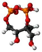 Ball-and-stick model of the 2-C-methyl-D-erythritol-2,4-cyclodiphosphate molecule