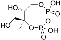 Skeletal formula of 2-C-methyl-D-erythritol-2,4-cyclodiphosphate