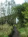 Sankey Viaduct seen from the Sankey Valley Country Park.