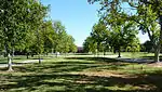 Tree Walk, part of Fresno State's arboretum