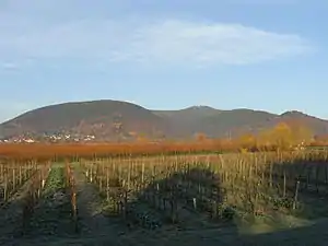 The Kalmit Massif seen from Maikammer with the Breitenberg, Kalmit, Kanzel and Wetterkreuzberg