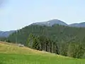 The Hasenhorn and its tower (seen from the Gisibodenalm)