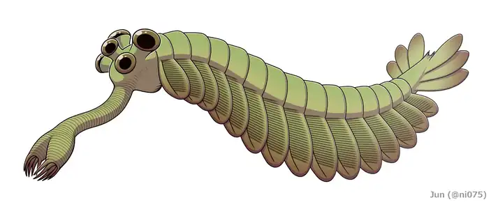 Image 18 Opabinia, an extinct stem group arthropod appeared in the Middle Cambrian (from Marine invertebrates)