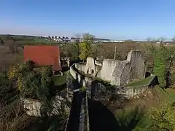 The ruins of Nippenburg Castle during the day, 2020