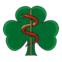 Regimental insignia of 253 (North Irish) Medical Regiment