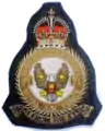 71 Eagle Squadron crest