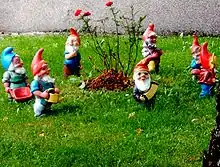 Seven garden gnomes around a rosebush.