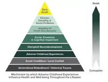 Pyramid with horizontal layers representing, in ascending order, Adverse Childhood Experiences; Social, Emotional, and Cognitive Impairment; Adoption of Health-risk Behaviors; Disease, Disability, and Social Problems; and Early Death. A vertical arrow represents the course of life beginning at the base and moving upward. Smaller arrows depict gaps in scientific knowledge about the links between Adverse Childhood Experiences and latter risk factors.