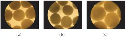 Illustration of the APA microcapsule integrity and morphological changes during simulated GI transit. (a) Pre-stomach transit. (b) Post-stomach transit (60 minutes). (c) Post-stomach (60 minutes) and intestinal (10-hour) transit. Microcapsule size: (a) 608 ± 36 μm (b) 544 ± 40 μm (c) 725 ± 55 μm.