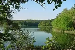 Ouachita River in theOuachita National Forest