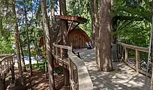 A small treehouse on a elevated wooden walkway.