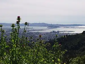 View west over San Francisco Bay from Tilden Park