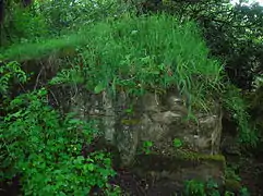 An abutment of the old Walled Garden bridge. Iron work is embedded in the structure, which was faced with high quality vermiculate ashlar stonework.