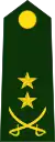 Lieutenant Colonel