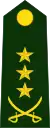 Colonel