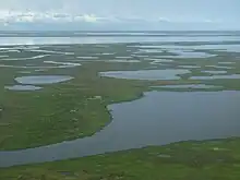 aerial view of tundra, with numerous small lakes dotting the ground