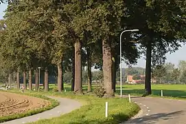 Road between St. Odilienberg Paarlo, looking towards St. Odilienberg