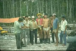 Photo of the Amazon jungle in the Lagunas District of the Alto Amazonas Province, in the Department of Loreto, in Peru. This photo was taken in 1971 while working as a Geophysical Observer in oil exploration for Petty Geophysical.