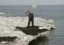 Fishing for amber at the seacoast, Mikoszewo, close to Gdańsk, Poland.