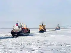 American Tern and Russian icebreakers