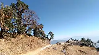 An amazing viewpoint halfway between Peethsain and Binsar temple, in Dudhatoli mountains