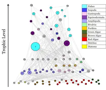 Image 93Antarctic marine food web. Potter Cove 2018. Vertical position indicates trophic level and node widths are proportional to total degree (in and out). Node colors represent functional groups. (from Marine food web)