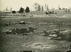 Dead Confederate artillery horses