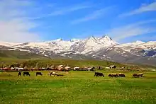 A view of Mount Aragats from Aragatsotn – Armenia